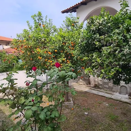 Family House *